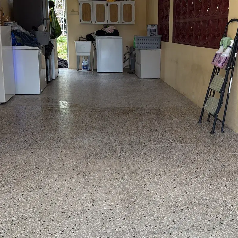 Limpieza profunda