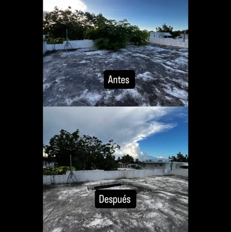 Limpieza profunda ✅ Corte de maleza y árboles ✅ Patio nuevo en un día